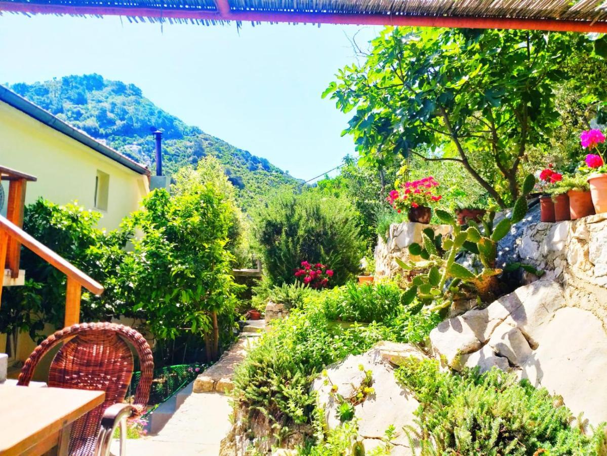 Villa Anita Sobra Exterior foto